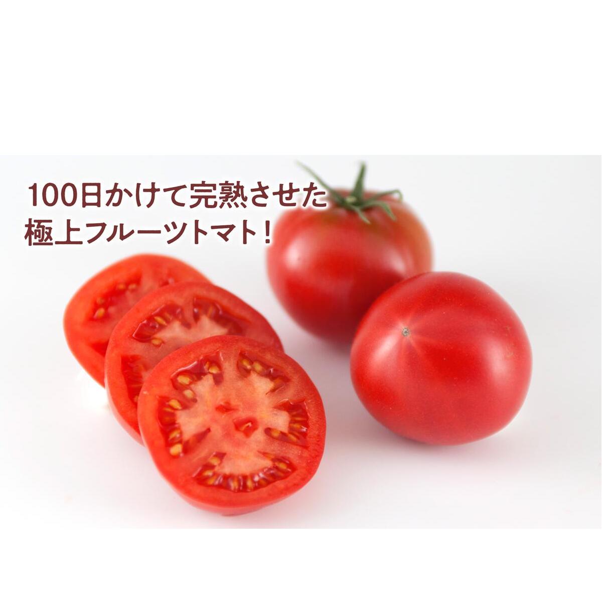 ＜2026年1月下旬より発送＞濃厚フルーツトマト1kg 糖度8度以上 期間限定 フルーツトマト ふるーつとまと とまと トマト 甘い 濃厚 美味しい 箱入り ギフト 贈答 野菜 料理 サラダ お取り寄