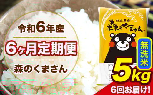 令和6年産 森のくまさん 無洗米 5kg 5kg×1袋 計6回お届け 《お申し込み月の翌月から出荷開始》 お米 こめ 熊本県産 ご飯 備蓄