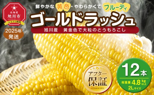 
                  ◆ふるさとチョイス限定◆【先行予約】黄金色で大粒 ゴールドラッシュ 12本 4.8kg (2026年8月下旬より発送予定) 【 人気 北海道産 糖度 生 野菜 スイートコーン 産地直送 バーベキュー BBQ コーン 旬 お取り寄せ 旭川市 北海道 送料無料 】_00408
                