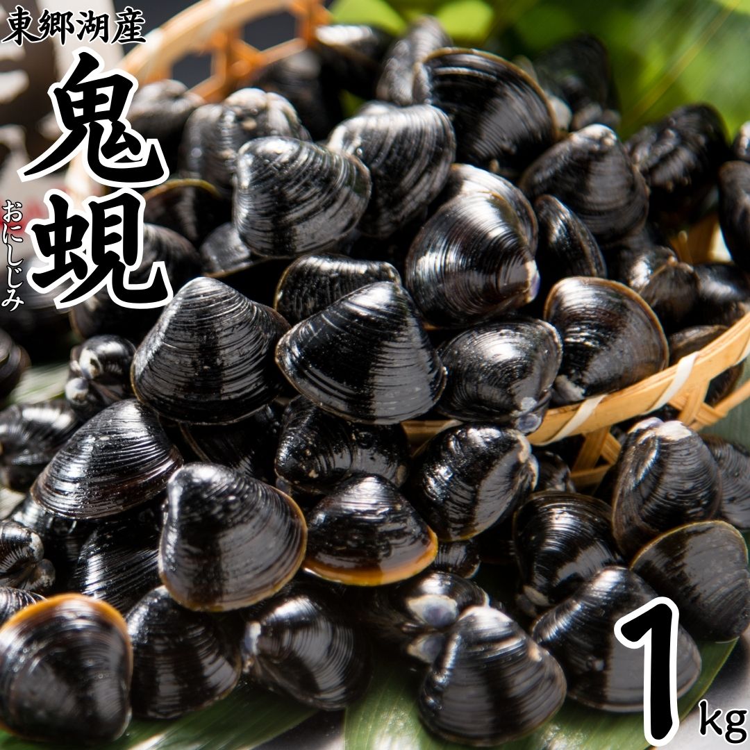 大粒 しじみ 東郷湖産 鬼蜆 特大 冷凍 1kg 60M | 砂抜き不要