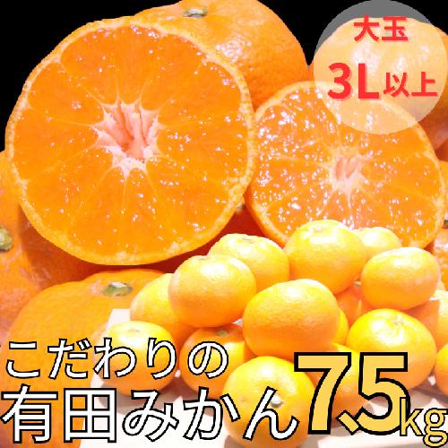 【農家直送】有田みかん 約7.5kg 大玉3L以上 有機質肥料100% ※2024年12月初旬～1月中旬に順次発送(お届け日指定不可)/みかん ミカン 温州みかん 柑橘 有田 和歌山 産地直送