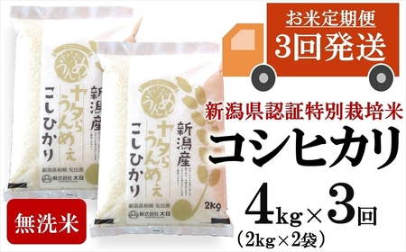 【令和8年産新米・3ヶ月定期便】コシヒカリ 無洗米 4kg（2kg×2袋）×3回（計 12kg）ヤタらうんめぇ お米 新潟県産 小分け 水田環境鑑定士在籍[Y0203]