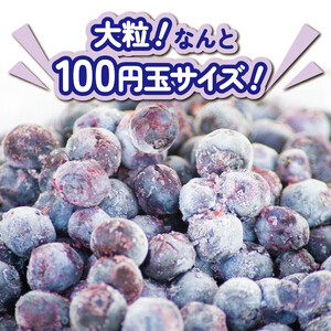 冷凍 ブルーベリー 約750g 【 ブルーベリー 】