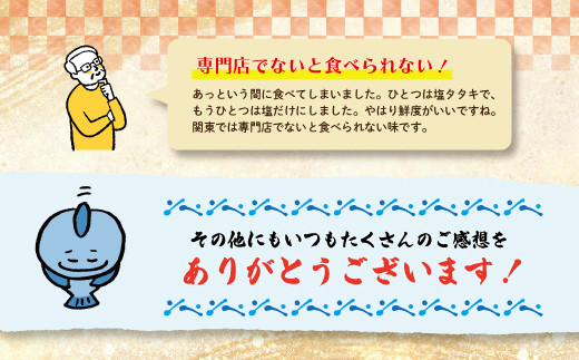 【年内配送】中村でしか食べられない中村伝統の味【カツオの塩タタキセット】24-538N