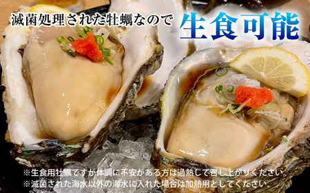 【先行予約】【加福鮮魚】若狭湾　生食用　天然岩牡蠣　大3個（軍手、牡蠣ナイフ付き）【2025年6月下旬より順次発送】