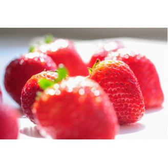 豪華!栃木イチゴ2種(スカイベリー・とちあいか)大粒 食べ比べセット(300g×2パック)【配送不可地域：離島・沖縄県】