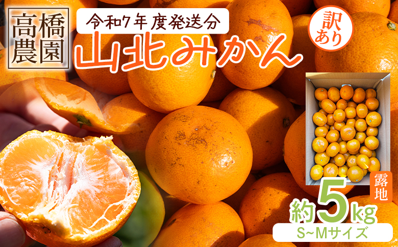 高橋農園【訳あり】山北みかん 露地(Ｓ～Ｍ)Ｂ品 5kg th-0019