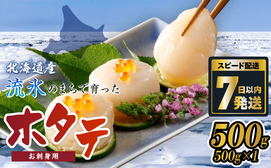 網走前浜産 無添加ホタテ貝柱【 500g (500g×1) 】 ABAI038