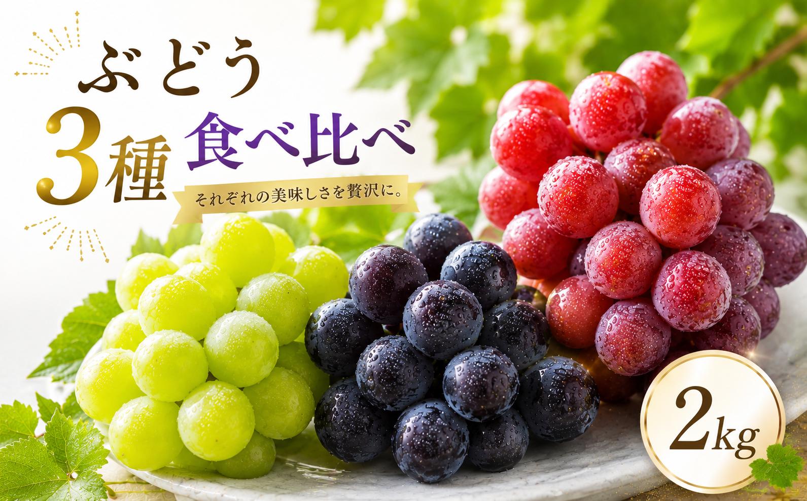 
                  ぶどう 食べ比べ 3種類 2kg 先行予約 数量限定 旬採りぶどう詰め合わせ 4~5房 | 先行予約 数量限定 期間限定 ぶどう フルーツ 果物 産地直送 限定品 贈り物 新鮮 お取り寄せ デザート ギフト 風味豊か 香り 甘い 限定 フルーツ ブドウ 葡萄 旬 ジューシー みずみずしい 季節のフルーツ あかぎおろし 前橋市 群馬県
                