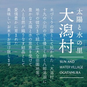 秋田県産 予約受付開始!あきたこまち【令和7年産】無洗米5kg(5kg×1)《10月中旬より発送》【配送不可地域：離島・沖縄県】【1637016】