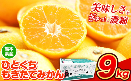 訳あり みかん ひとくちもぎたてみかん 約 9kg (9kg×1箱) S-3Sサイズ 訳あり ご家庭用 熊本県産 （荒尾市産含む） 期間限定 フルーツ 果物 旬 冬 柑橘 小玉 みかん《12月中旬-12月末頃出荷》