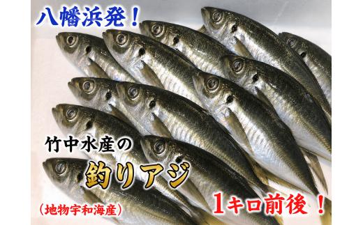 竹中水産の一本釣り真鯵!1キロ前後＜C22-238＞【1073399】 YWTM056