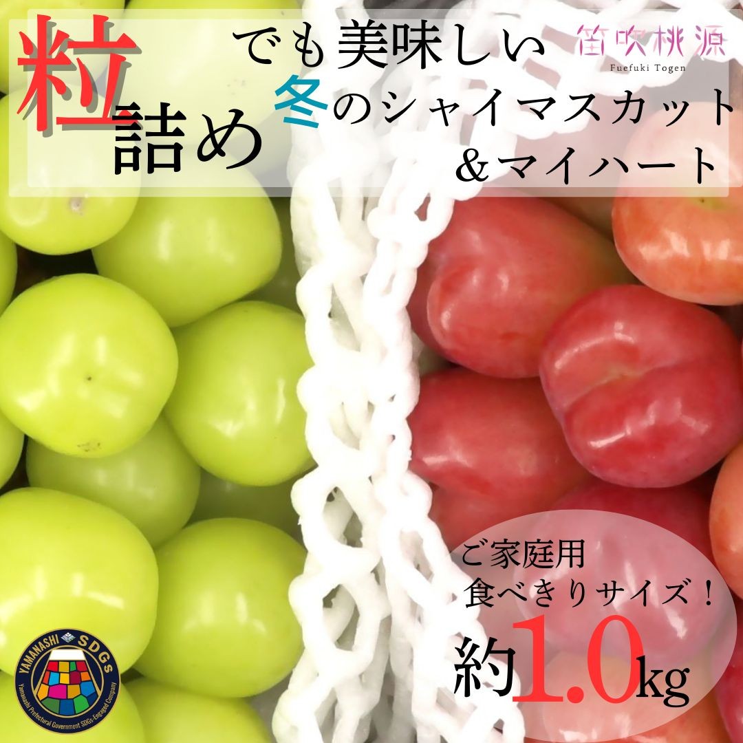 
                  【2026年先行予約】冬季限定！SDGsおいしさそのまま　粒　シャインマスカット＆マイハート　1kg相当　〈令和8年発送　数量限定　粒　シャインマスカット　シャイン　マイハート　赤系ぶどう　ぶどう　葡萄　希少種　くだもの　フルーツ　ご家庭用　新鮮　果物　くだもの　産地直送　直送　笛吹　山梨〉 157-054-26y
                
