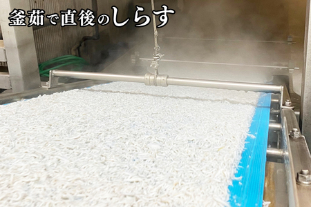 訳あり ちりめん 2kg (1kg×2) 規格外 不揃い 無選別 ちりめんじゃこ 天然 しらす シラス 訳アリ 魚介 わけあり 離乳食 大洗 茨城県_AG015