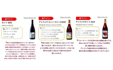 グレリパ チルドレッド ＆ オレンジ 6本セット part.2 750ml × 6本 『(株)グレープリパブリック』 赤ワイン オレンジワイン 山形県 南陽市 [2605]