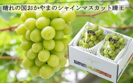 ご家庭用 シャインマスカット 晴王 約400g×2房 約800g 【2025年8月下旬～11月下旬迄発送】 ／ マスカット 葡萄 ぶどう 果物 果実 フルーツ 種なし 皮ごと 大粒 家庭用 岡山県 美