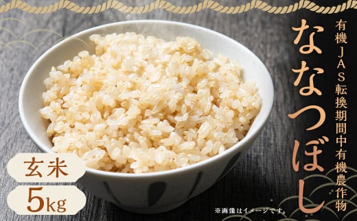 【令和7年産】有機JAS転換期間中有機農作物 らんこし産 玄米 ななつぼし 5kg（中村農場）お米 米  【2025年10月上旬～2026年7月下旬発送予定】