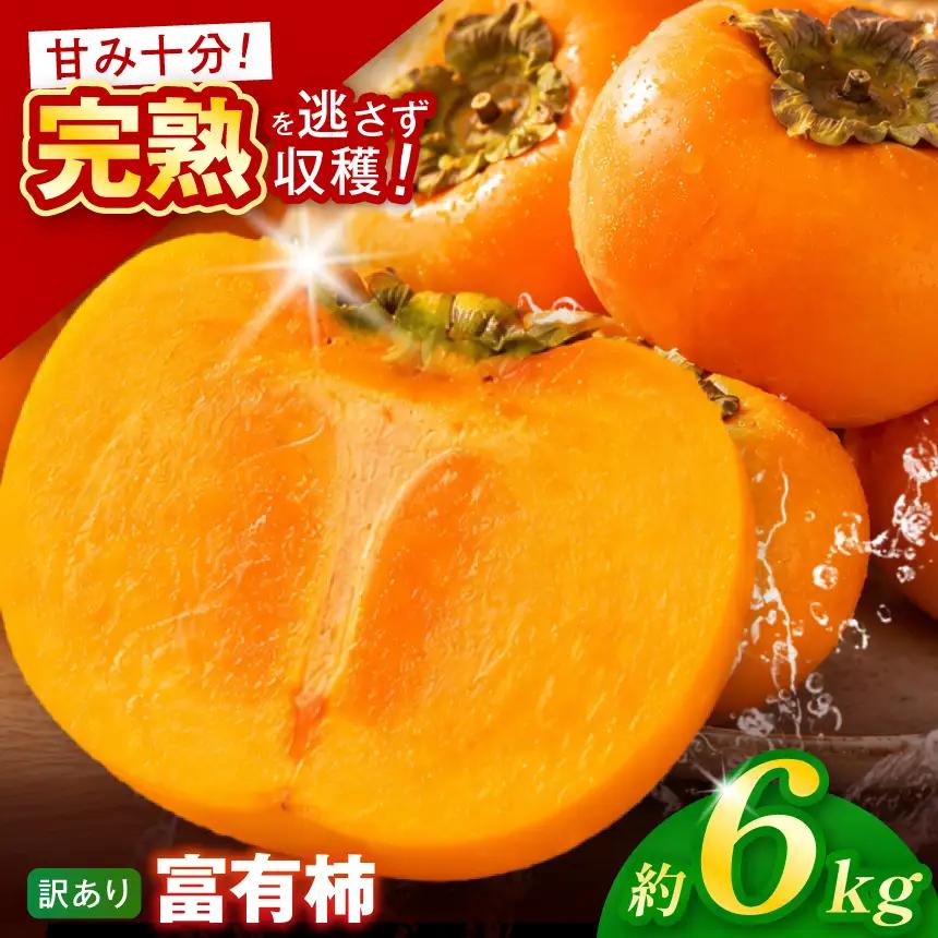 【訳あり品】先行予約 令和8年11月中旬順次発送 富有柿 ( 28個 ／ 6kg ) 1箱 | さのっち農園