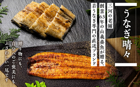 うなぎ晴々 白焼き 新仔 4尾 うなぎ