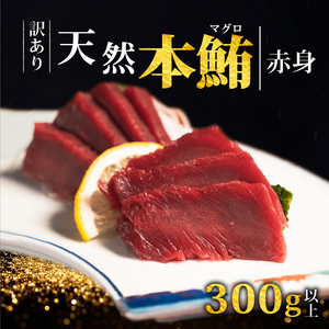 【スピード発送】 訳あり 天然本まぐろ 赤身300g以上 まぐろ