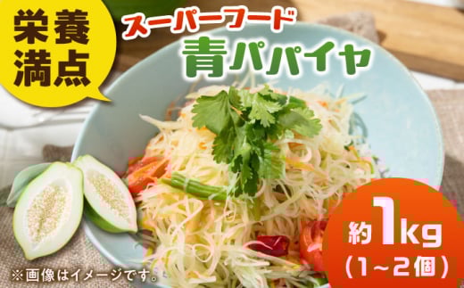 【9月中旬より発送】【栄養満点スーパーフード】青パパイヤ 約1kg（1-2個） フルーツ 果物 野菜 酵素 健康 健康食 料理 調理 ビタミン 新鮮 ポリフェノール ミネラル 食物繊維 広川町 / 古賀萬壽果園 [AFBK001]
