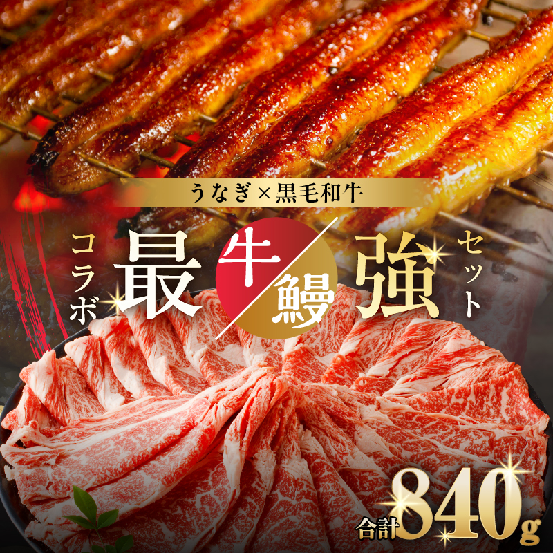 ≪数量限定≫うなぎ×黒毛和牛(経産牛) 都農町最強セットD 肉 牛 牛肉 おかず 国産_T030-074