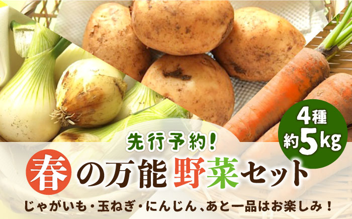 
                  野菜【2026年5月下旬～発送】【先行予約！】春の万能野菜セット 約5kg / じゃがいも ジャガイモ たまねぎ 玉ねぎ タマネギ にんじん 人参  旬野菜 詰め合わせ 詰め合わせ 野菜セット 野菜 旬野菜 セット 季節の野菜 新鮮 ヤサイ やさい 旬の野菜 産地直送 旬 / 南島原市 / 長崎県農産品流通合同会社 [SCB064]
                
