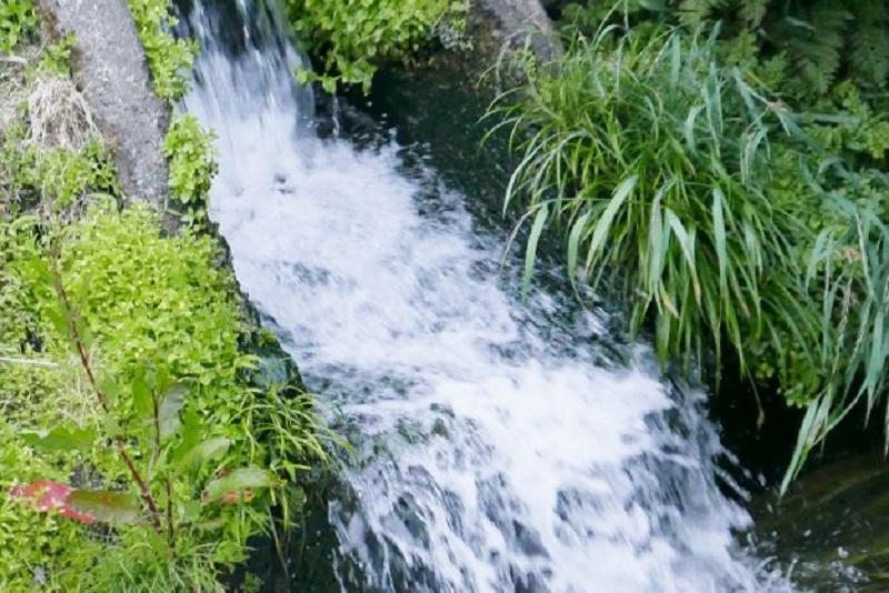 【Ｒ7年産】南魚沼産コシヒカリ精米5kg 山本家【従来品種】