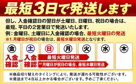 横浜工場製キリン一番搾り生ビール　350ml １ケース（24本入） | 一番搾り キリン一番搾り キリンビール 麒麟ビール 一番搾りビール 一番搾り350ml ビール 缶ビール ビール350ml 横浜