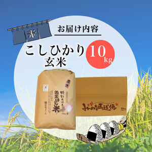 数量限定 先行予約 新米 コシヒカリ 10kg 玄米 玄米 玄米 玄米 玄米