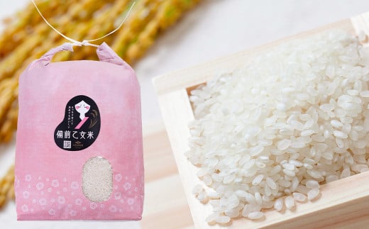 備前乙女米 白米 5kg×2袋（計約10kg）【2026年9月下旬迄発送予定】 ／ お米 米 おこめ こめ コメ ご飯 精米 ライス モチモチ 石原果樹園 岡山県 美咲町