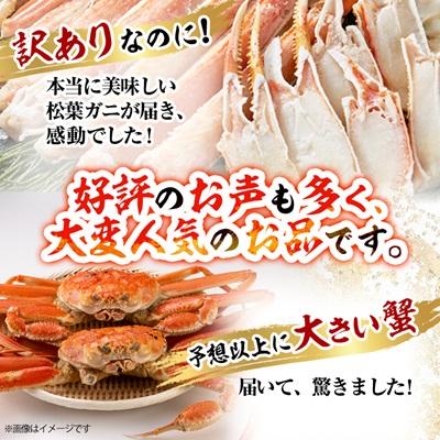 ふるさと納税 智頭町 鳥取県産ボイル松葉ガニ訳あり!　2枚セット |  | 02
