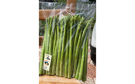 《 先行予約 》【 令和6年産 夏芽 】 アスパラガス M 1kg （ 細物 M以下 ）〔 2024年 7月中旬頃 ～ 発送予定 〕 アスパラ 野菜 農園成 産地直送 農家直送 2024年産 [105
