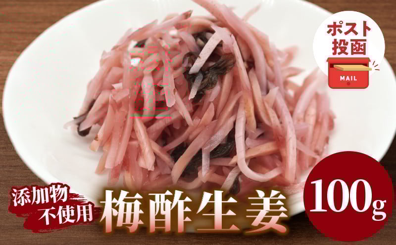 
            ＼ポスト投函／梅酢生姜100g おかず 漬物 野菜 加工品 国産_T037-010
          