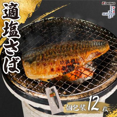 ふるさと納税 銚子市 適塩さば(真空)　12枚入