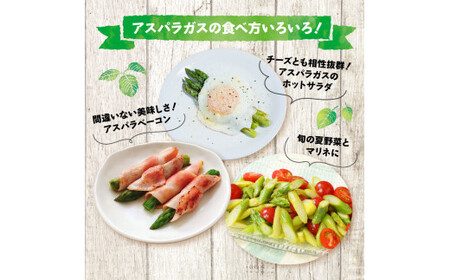 先行予約 訳あり アスパラガス 1kg 令和7年産 アスパラ 甘い 柔らかい 特産品 野菜 春野菜 夏野菜 JA北新潟 新潟県 新発田産 新発田市 JA002