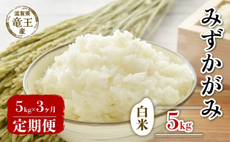 
            【 先行予約 】 令和7年産 新米 予約 みずかがみ 白米 5kg 定期便 3ヶ月 みずかがみ 定期 3か月  5kg × 3回 計 15kg 米 滋賀県 竜王町 国産 農家直送 特別栽培米 ミズカガミ  2025年産 国産 農家直送 環境こだわり お米 こめ おこめ 産地直送 送料無料 滋賀県 竜王町 ふるさと納税
          