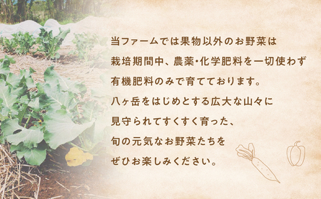 【定期便・年4回】旬のお野菜がどっさり！甲斐路の大満足お野菜セット