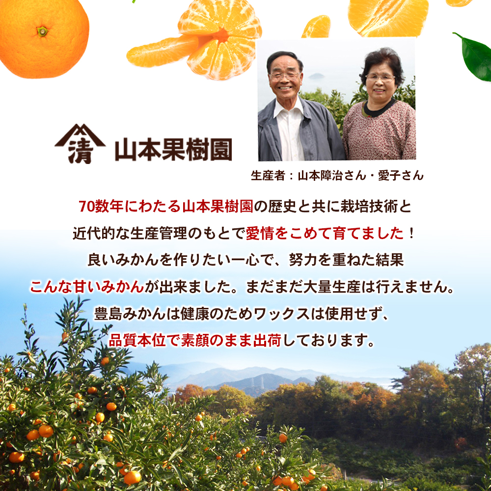 【 小豆島 】瀬戸内海に浮かぶ島・豊島の段々畠で育てられた甘～いみかん（Mサイズ5kg）1箱 豊島 みかん 蜜柑 ミカン 甘い 瀬戸内海 てしま 柑橘 フルーツ 果物 くだもの 香川 香川県 土庄 土