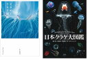 【ふるさと納税】清水町ふるさと大使（清水町在住）海洋生物写真家　峯水亮氏　『ときめくクラゲ図鑑』＆『日本クラゲ大図鑑』　2冊セット