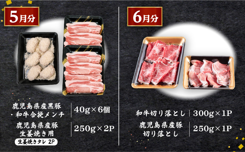 【全10回定期便】鹿児島自慢の豚・牛・うなぎ「満足定期便」　K086-T11