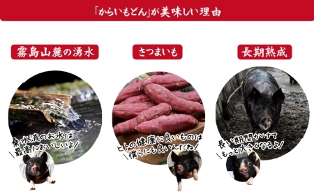 【牧場直送の新鮮黒豚】桑水流黒豚からいもどんスペアリブみそ漬け 500g（黒豚 豚肉 豚 肉 お肉 スペアリブ 味噌漬け スペアリブ　スペアリブ　スペアリブ　スペアリブ　スペアリブ スペアリブ 豚肉 