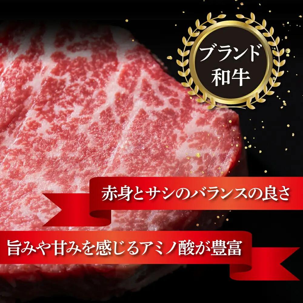 湯煎するだけ！土佐あかうしと四万十ポークのハンバーグ　５個セット