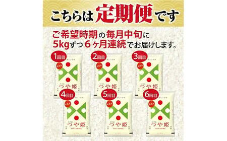 1385T04　【定期便】無洗米つや姫 5kg×6ヶ月連続 (4月～9月)