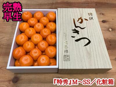 定期便 有田みかん 食べくらべ 3種 化粧箱 各約 3kg 南泰園 全3回 2024年 10月 発送開始