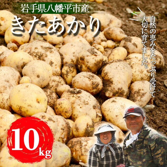 【ふるさと納税】 ジャガイモ じゃが芋 松浦農園 岩手県産 じゃがいも きたあかり 10kg ／ いも 芋 お芋 キタアカリ 馬鈴薯 ばれいしょ 野菜 お野菜 やさい 季節野菜 期間限定 季節限定 季節物 おすすめ 岩手県 八幡平市 送料無料 産地直送 農家直送 直送