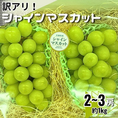 【訳あり】シャインマスカット2～3房　約1kg【配送不可地域：離島・沖縄県】