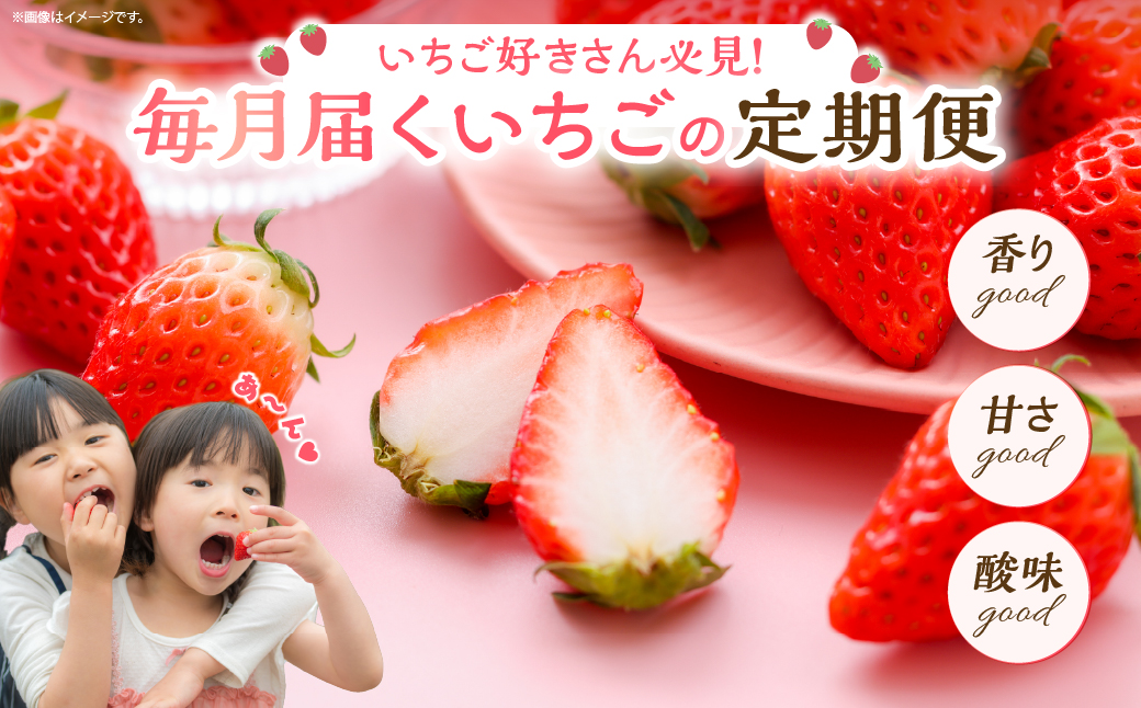先行予約【全2回お届け】 いちご 定期便 合計2kg［I21］果物 フルーツ くだもの 2027年 青果 苺 イチゴ いちご大福 国産 おやつ スイーツ デザート おすすめ ジャム ジュース 甘い ジ