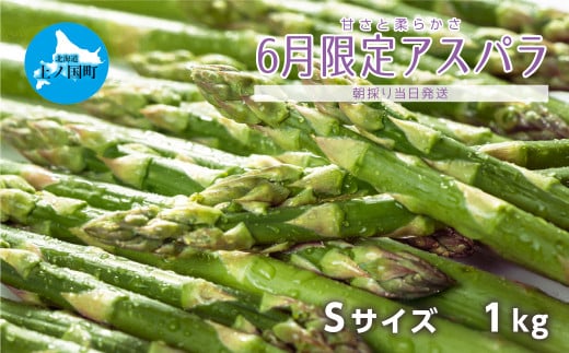 【2025年6月発送】北海道上ノ国町産 寅福菜園の6月限定アスパラ　S（1㎏）