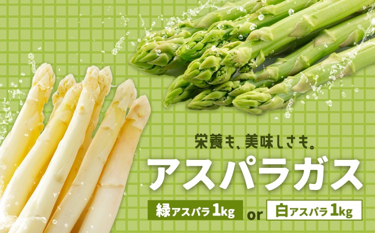
                  アスパラガス 選べる グリーン ホワイト 春アスパラ 夏アスパラ 1束 100g 10束 髙橋商店《選べる出荷時期》熊本県 苓北町 野菜 アスパラ アスパラベーコン
                